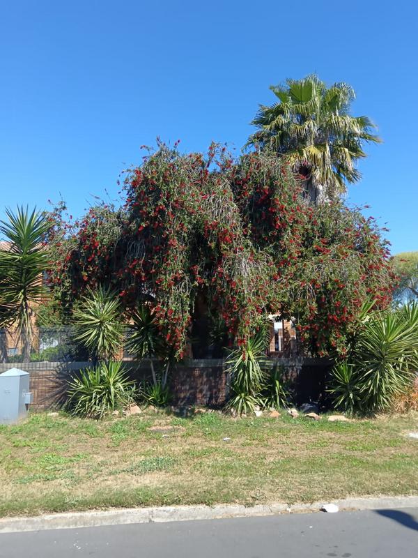 To Let 2 Bedroom Property for Rent in Windsor Park Western Cape